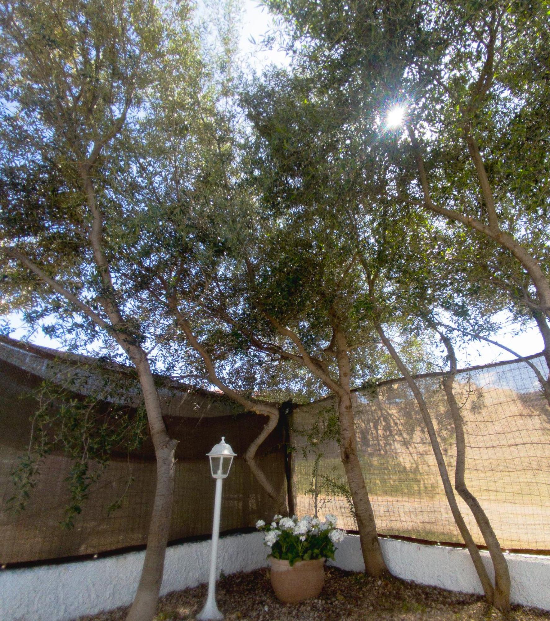 Dimora Mare Apartment San Teodoro  Exterior foto